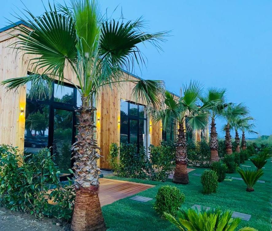 Sakes Havana House מראה חיצוני תמונה