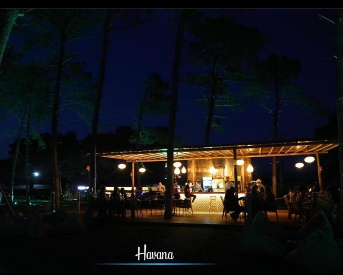 Sakes Havana House מראה חיצוני תמונה
